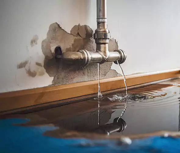 Professional Water Damage Restoration Experts in Lake Park, FL — Fast, Reliable & Certified